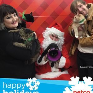 Meet your Posher, Stella